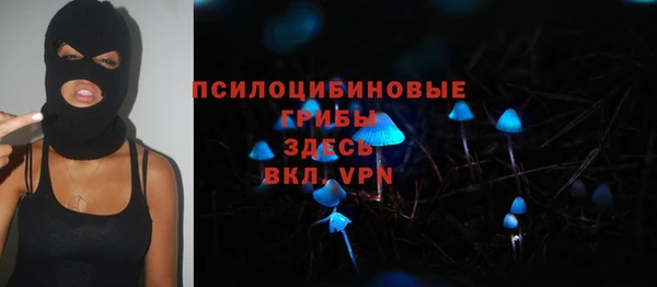 мдпв Алзамай