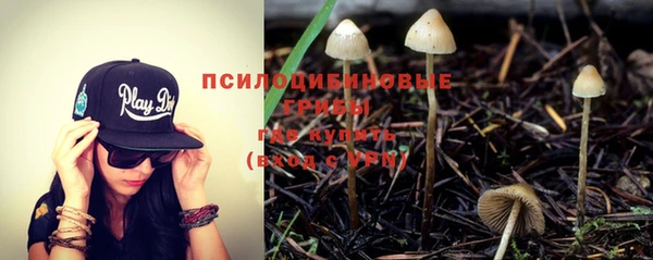 герыч Алексин