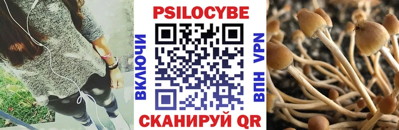 Псилоцибиновые грибы мухоморы  Балашов 
